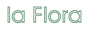 la Flora - Blumen & Deco